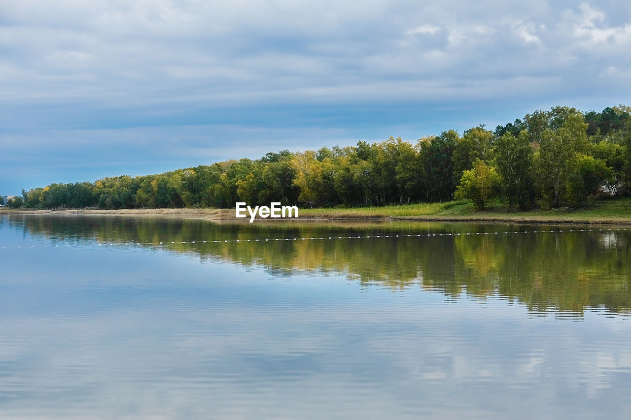 TREES BY LAKE AGAINST SKY