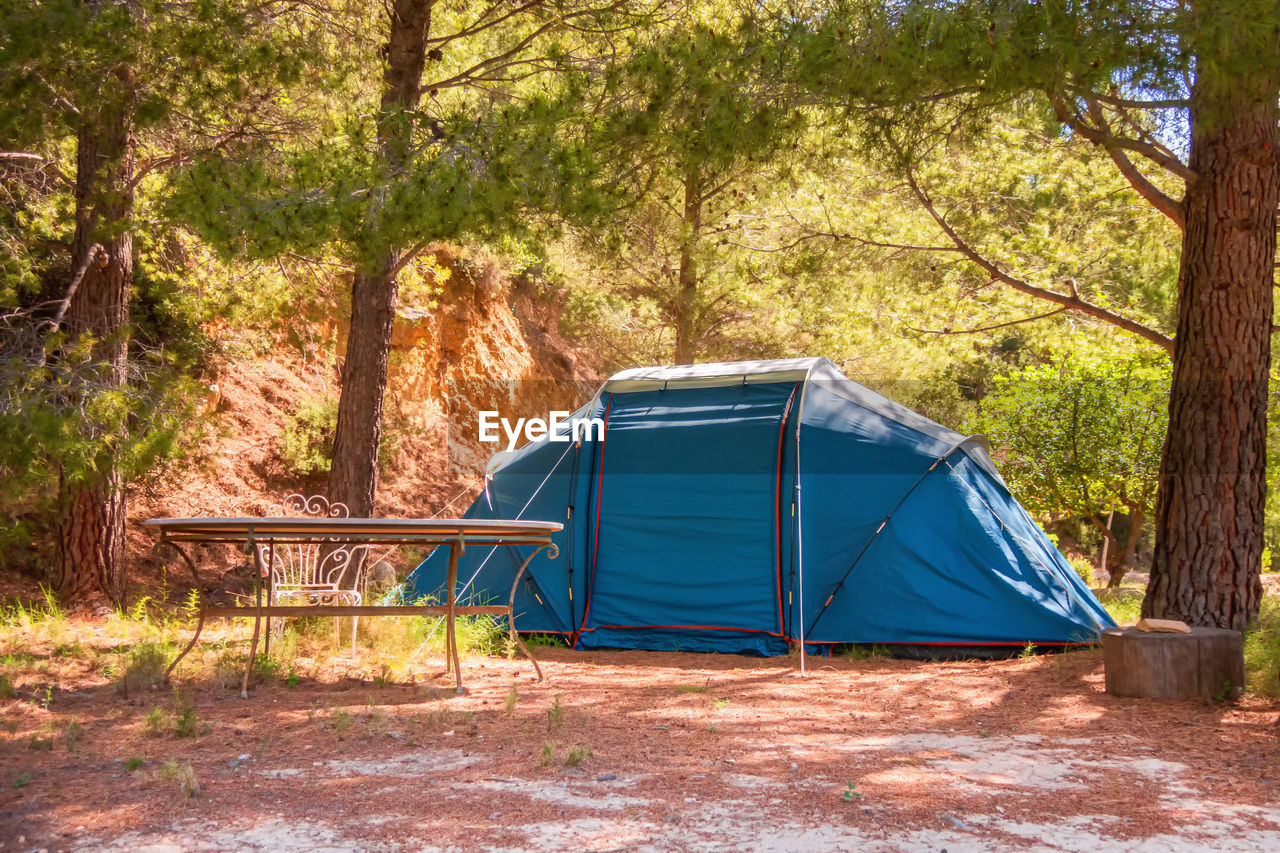 Blue tent set up in a mediterranean forest.