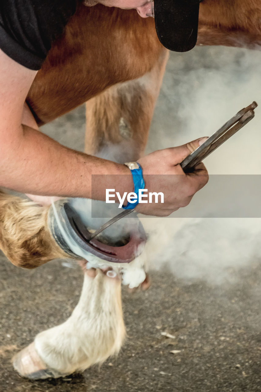 Low section of man working at farm