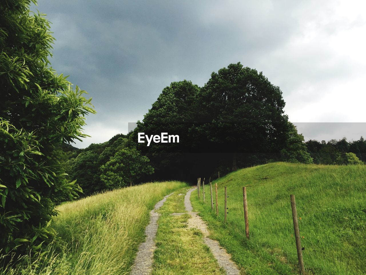 Tire tracks on grassy field by trees against cloudy sky