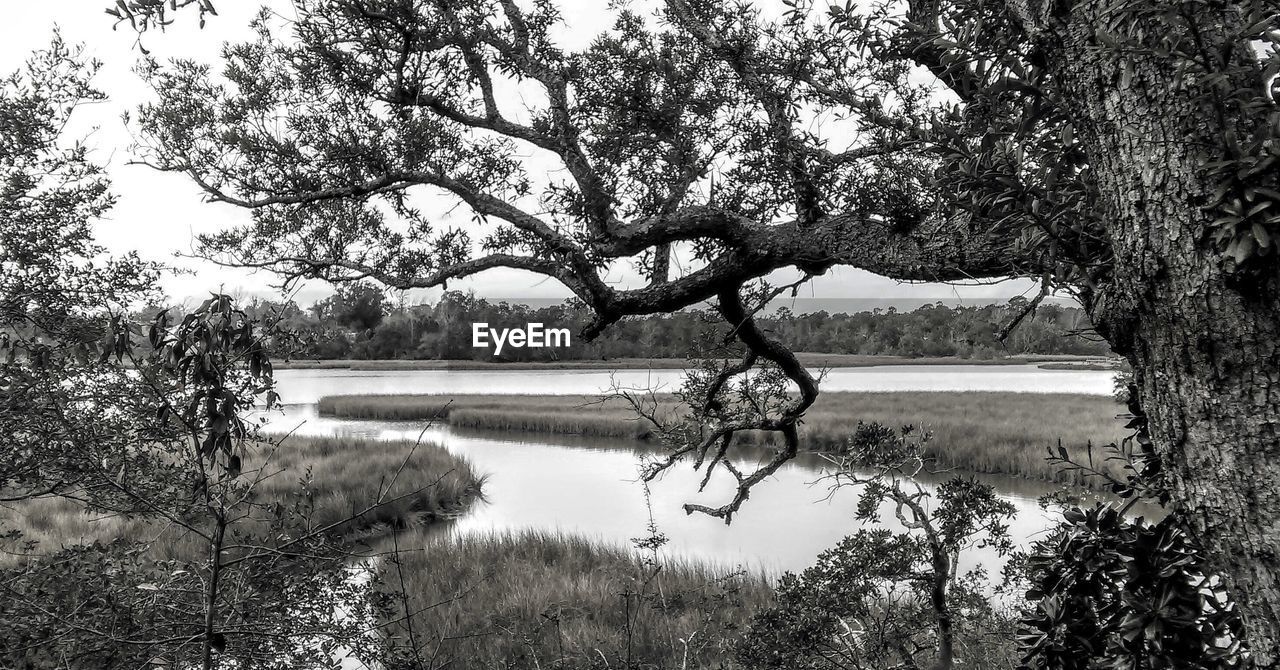 LAKE BY TREES AGAINST SKY