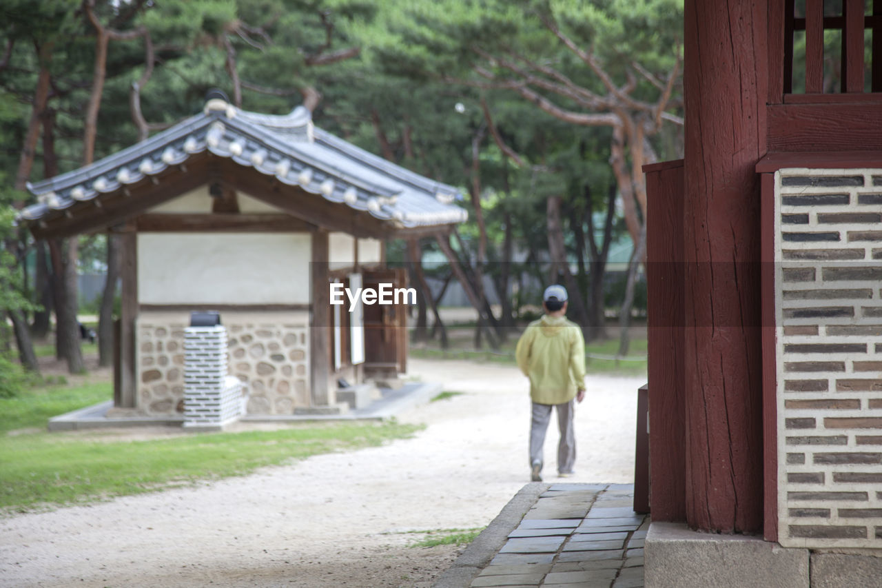 Rear view of man walking on footpath by royal tombs at seonjeongneung