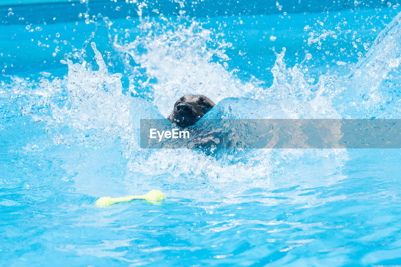 PERSON SWIMMING UNDERWATER IN POOL