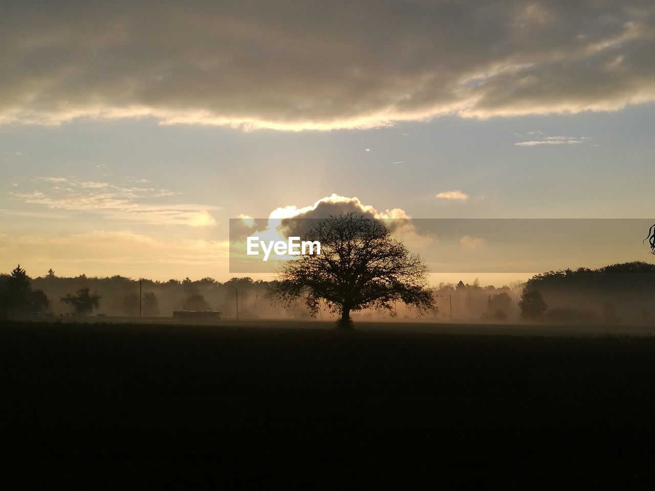 Silhouette trees on field against sky during sunset