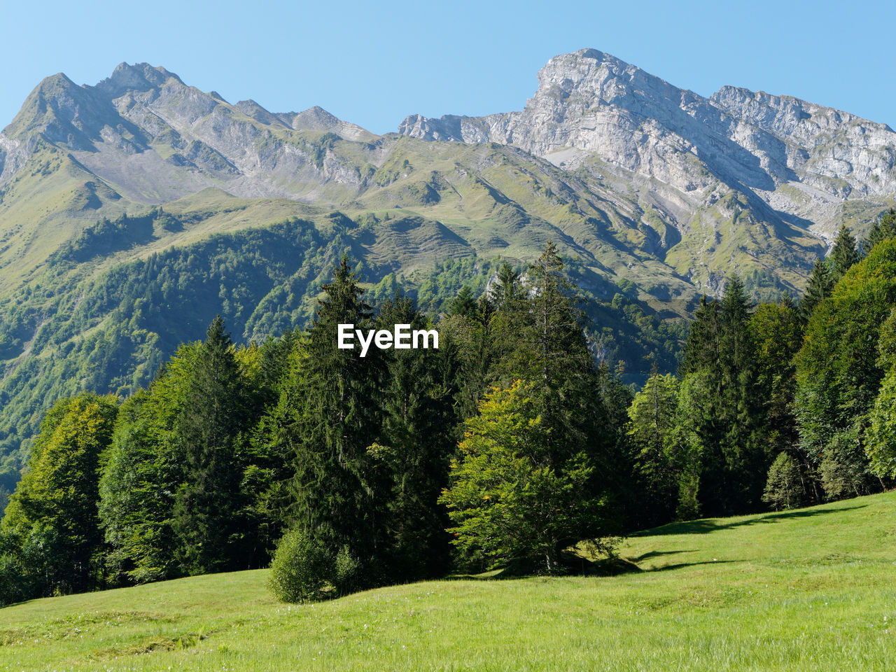 panoramic view of trees and mountains against sky