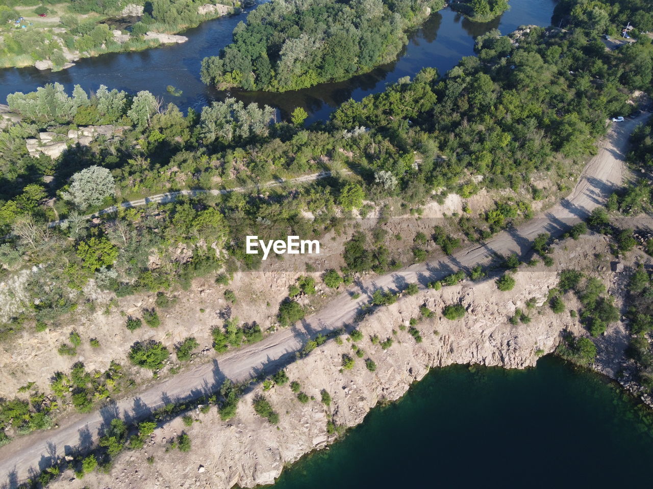 HIGH ANGLE VIEW OF TREES ON FIELD