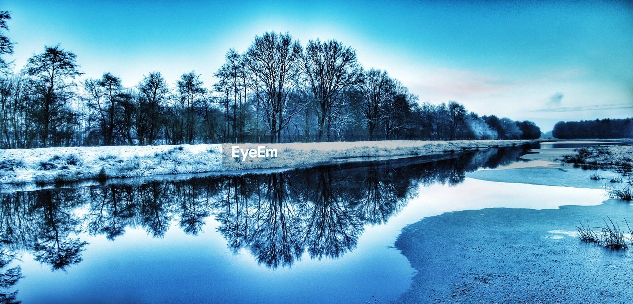 Scenic reflection of bare trees in calm lake