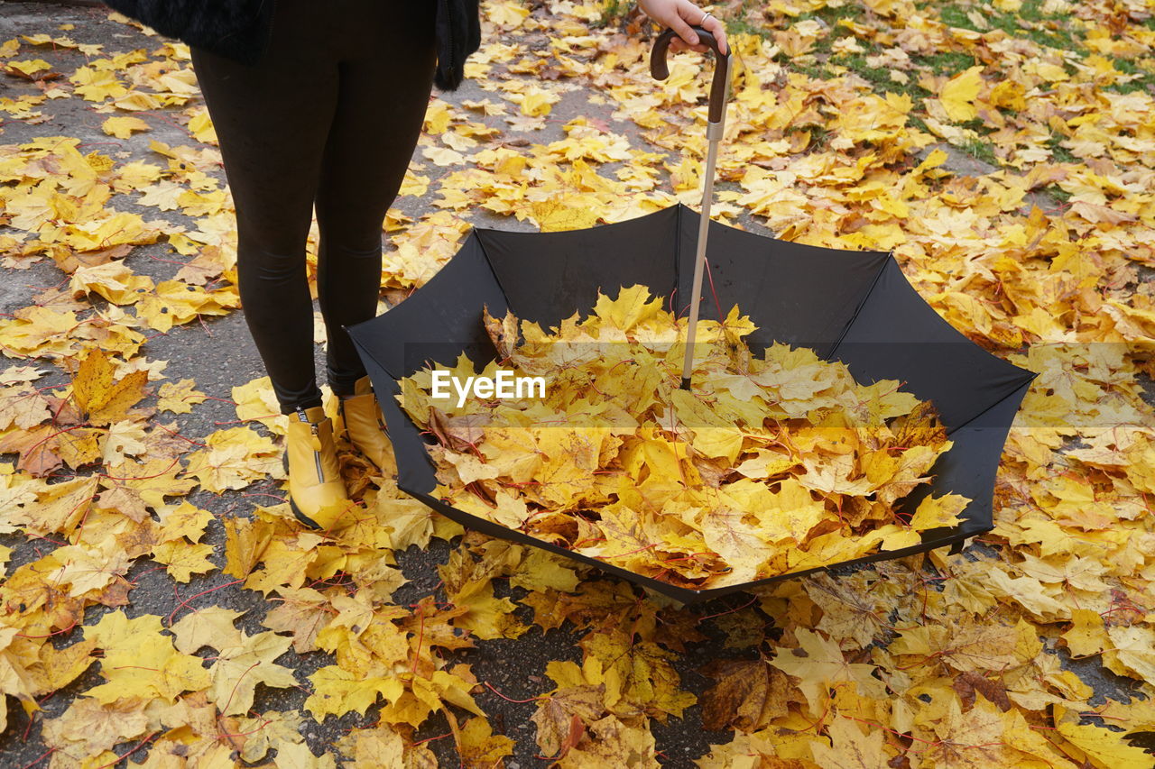 Low section of woman holding umbrella filled with autumn leaves