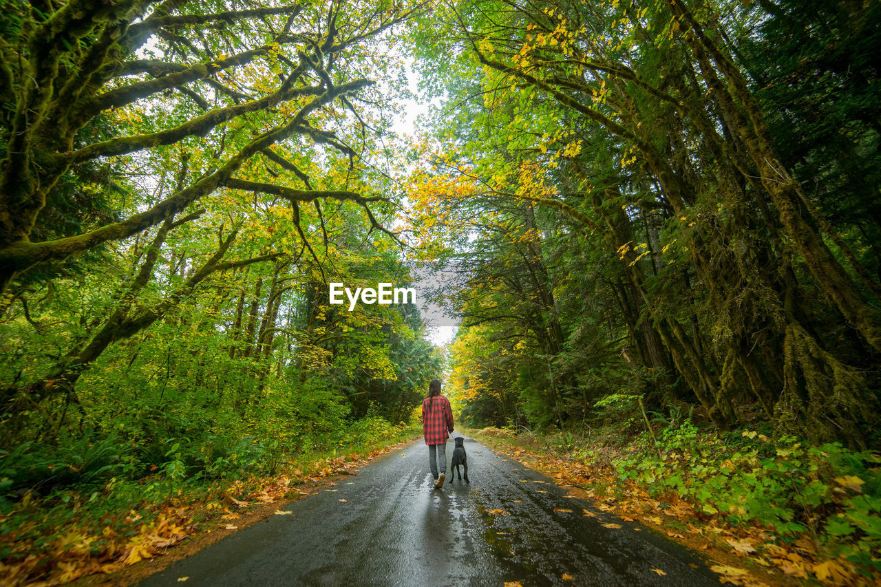 Young woman walking with dog on a road in dense forest