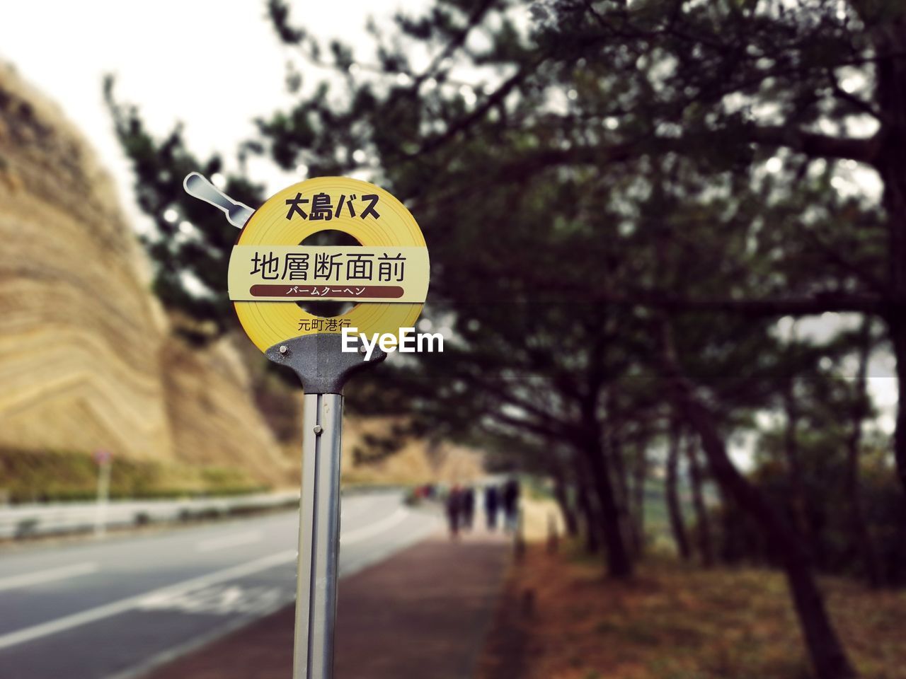 ROAD SIGN AGAINST TREES ON STREET