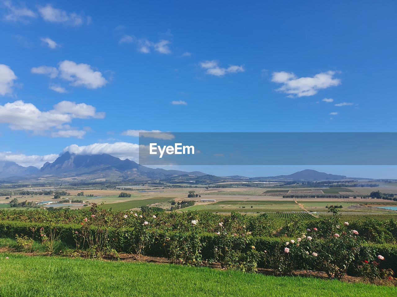 SCENIC VIEW OF FARM AGAINST SKY