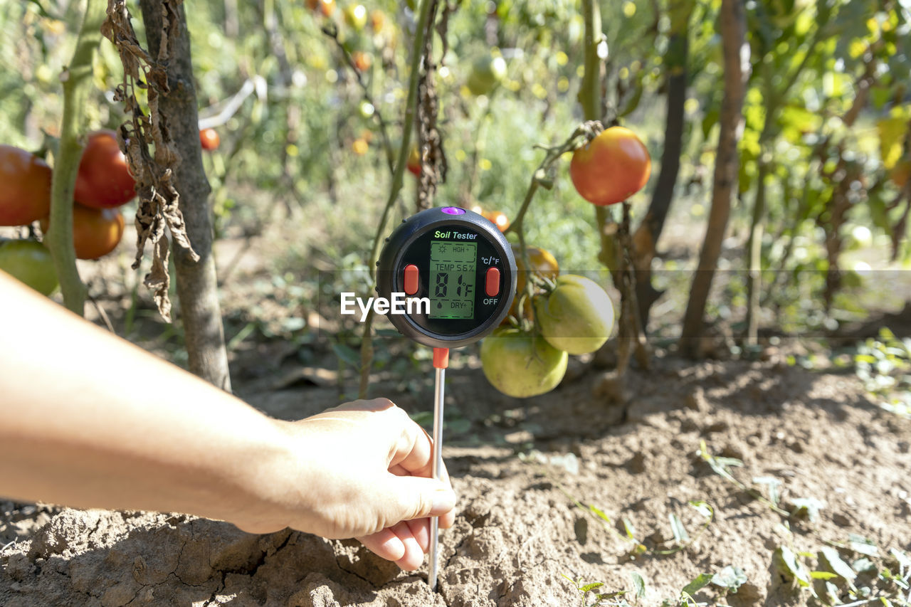 Measuring temperature, moisture content of the soil, environmental humidity and illumination