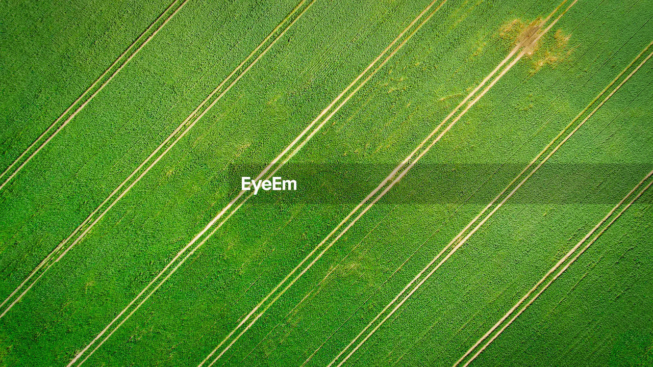 Full frame shot of green field with parallel diagonal lines