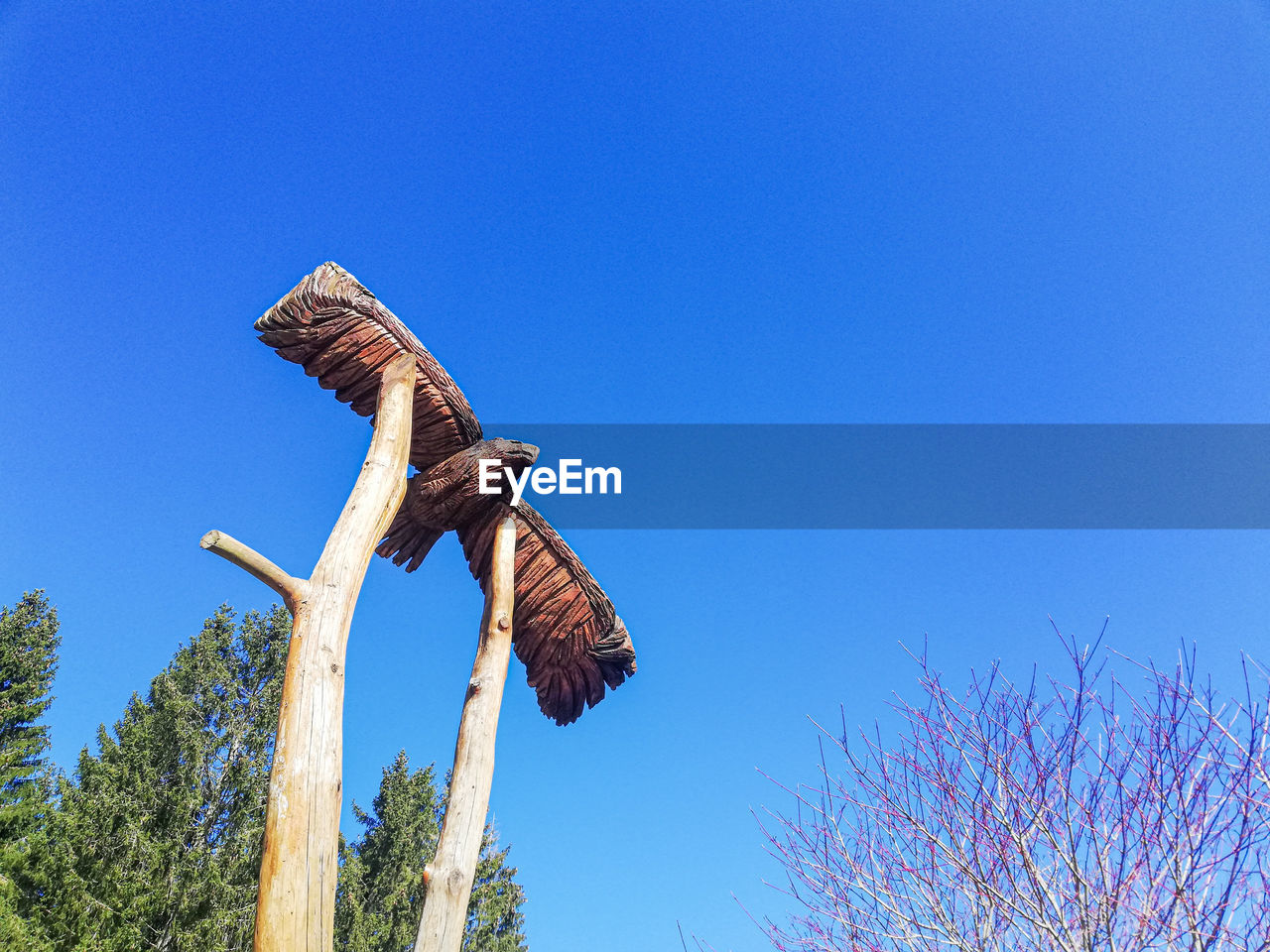 sky, blue, tree, nature, clear sky, plant, no people, low angle view, animal, animal themes, animal wildlife, day, wildlife, bird, sunny, outdoors, one animal, copy space