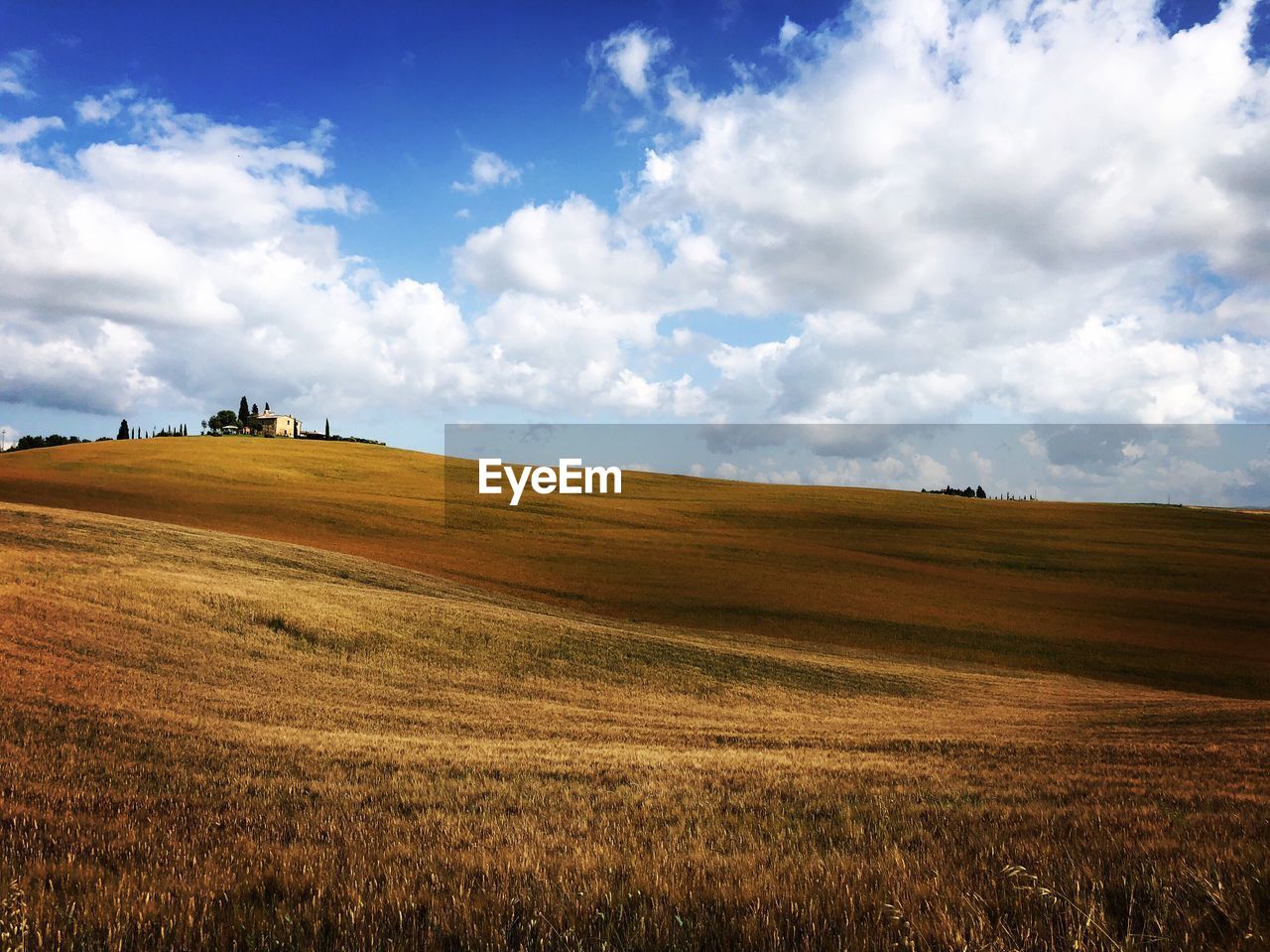 Scenic view of agricultural field against sky