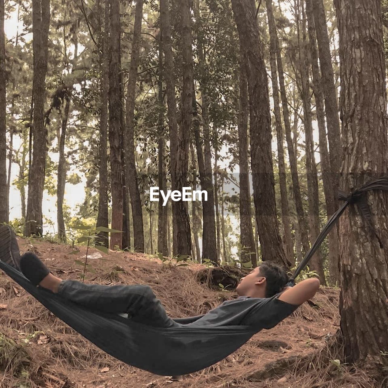 Man lying down on land against trees in forest