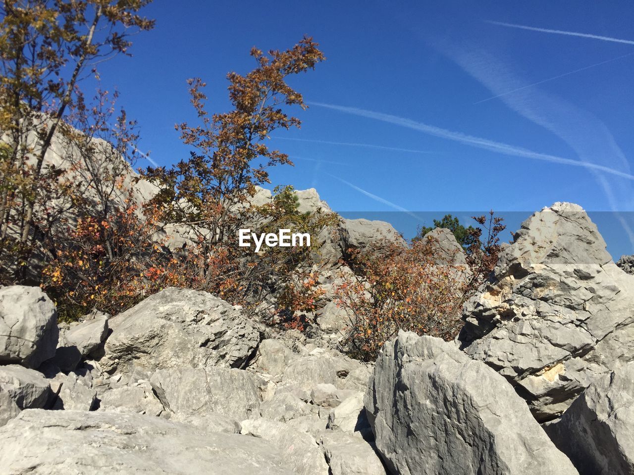 LOW ANGLE VIEW OF ROCKS AND TREES AGAINST CLEAR BLUE SKY