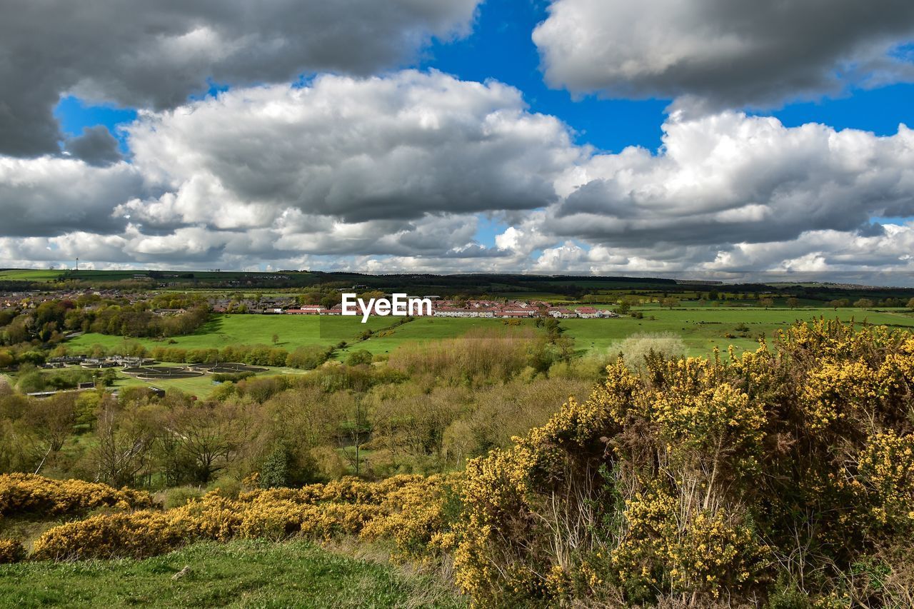 PANORAMIC VIEW OF LANDSCAPE AGAINST SKY