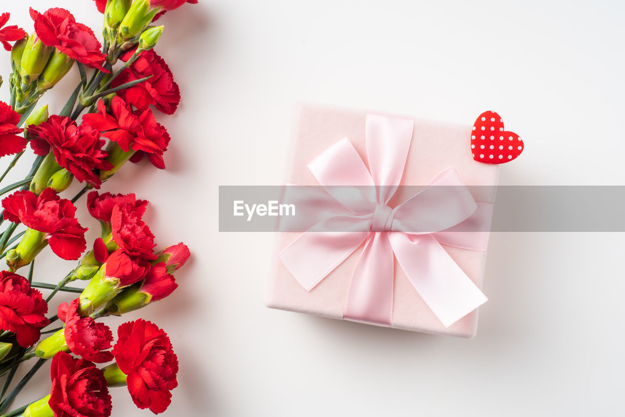 HIGH ANGLE VIEW OF RED FLOWERS IN BOX