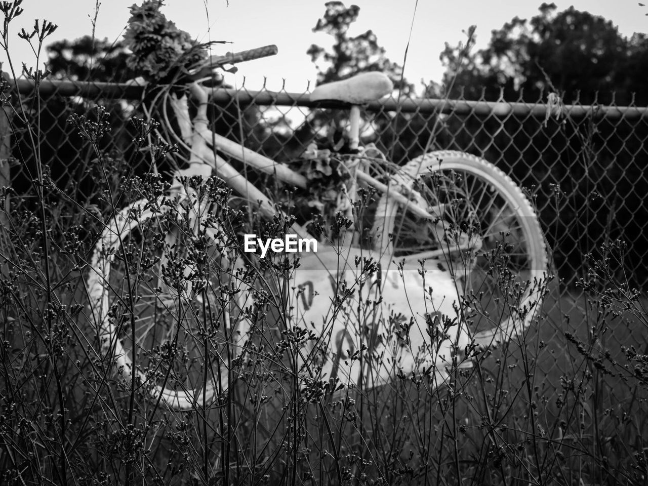 Bicycle by fence