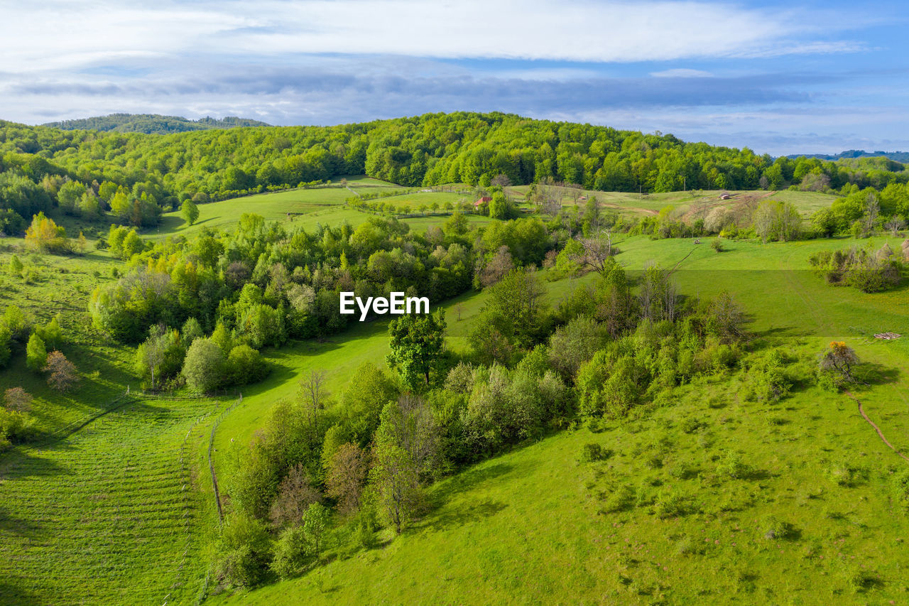 Scenic view of green landscape against sky