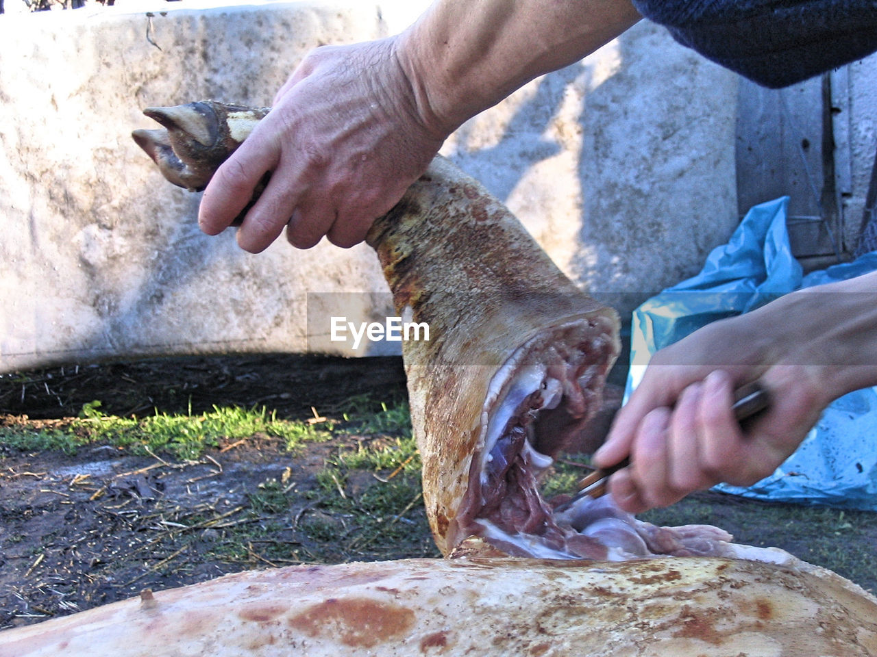 Close-up of person cutting meat