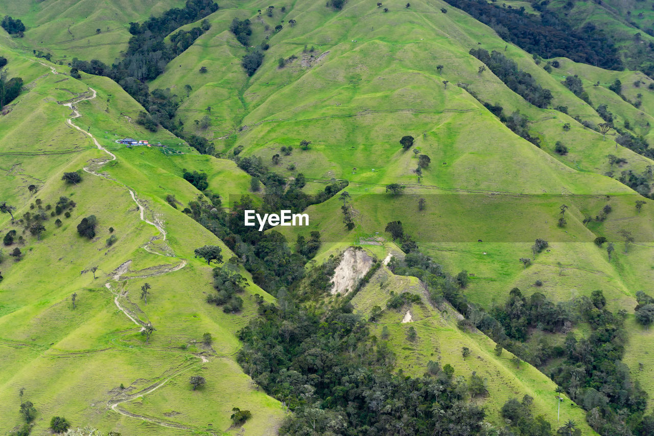 Scenic view of cocora valley against cloudy sky