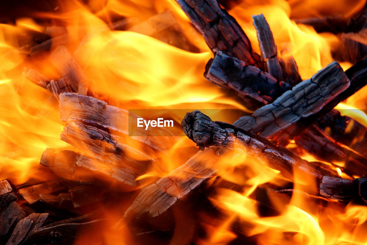 Firewood burning with bright fire close-up