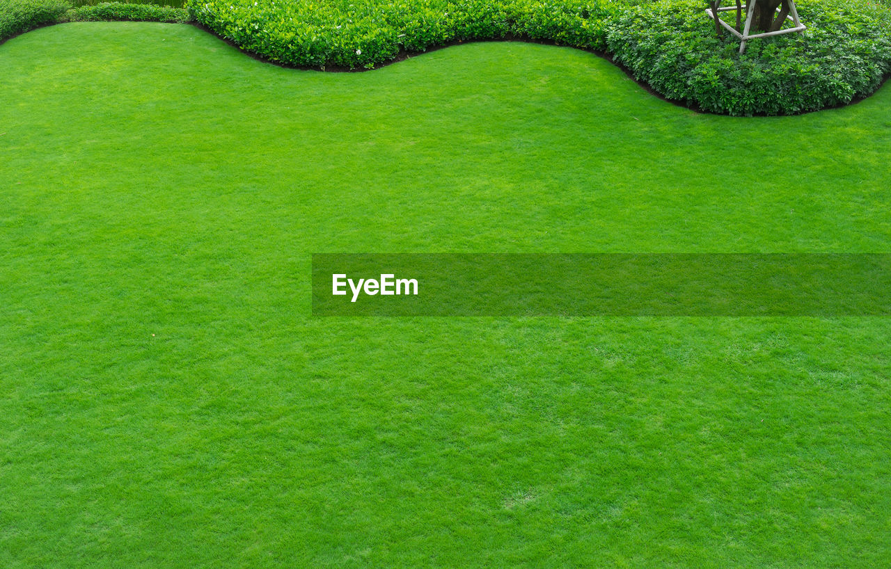 Full frame shot of green lawn