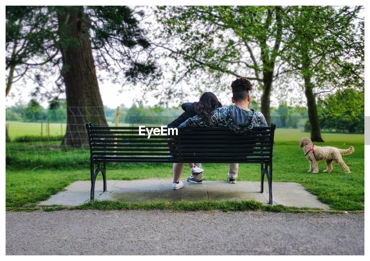 PEOPLE SITTING ON BENCH AGAINST TREES