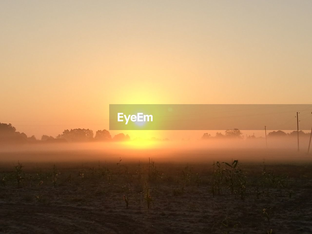 Scenic view of field during sunset