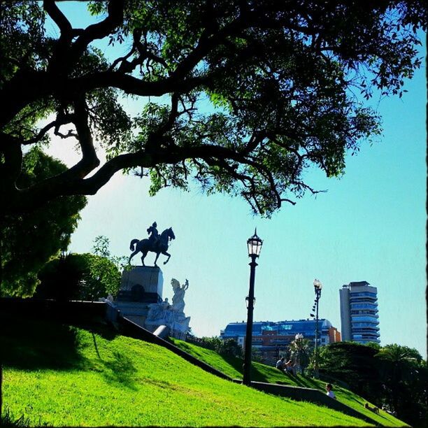 VIEW OF PARK IN PARK