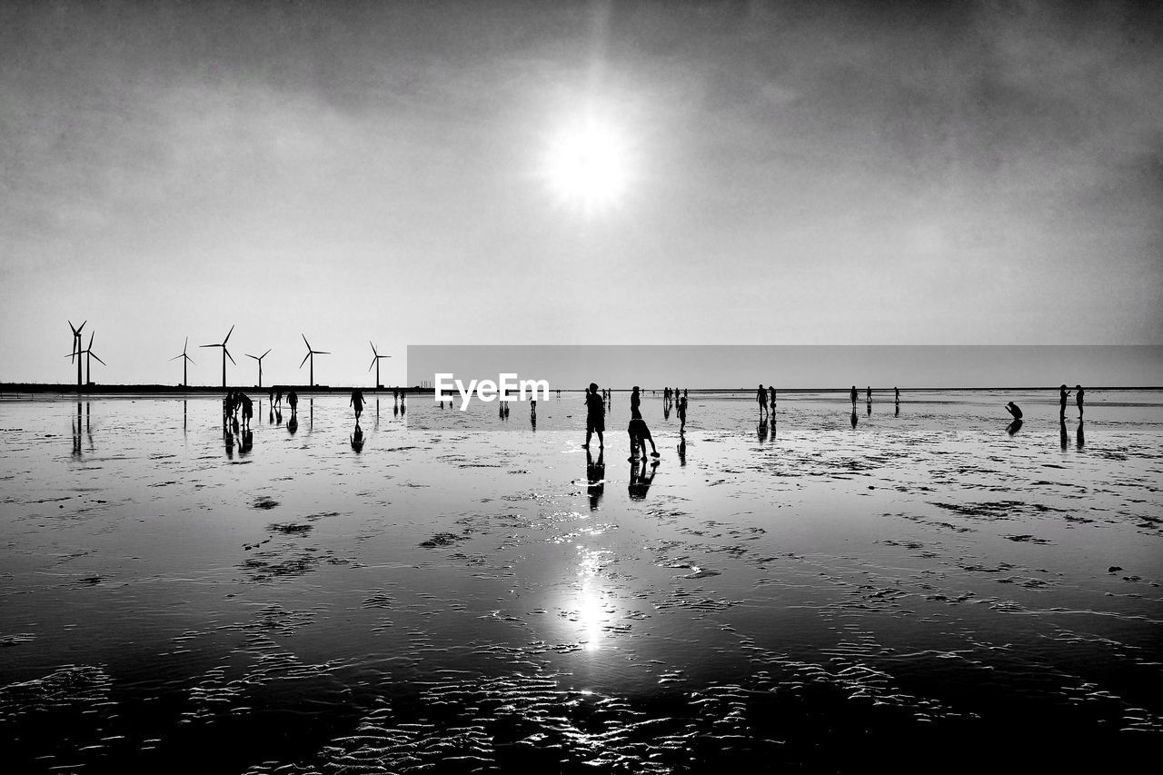 SILHOUETTE BIRDS ON BEACH AGAINST SKY