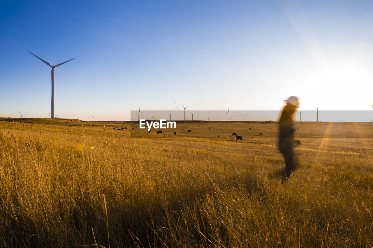 Female operator walks through a wind farm at sunset