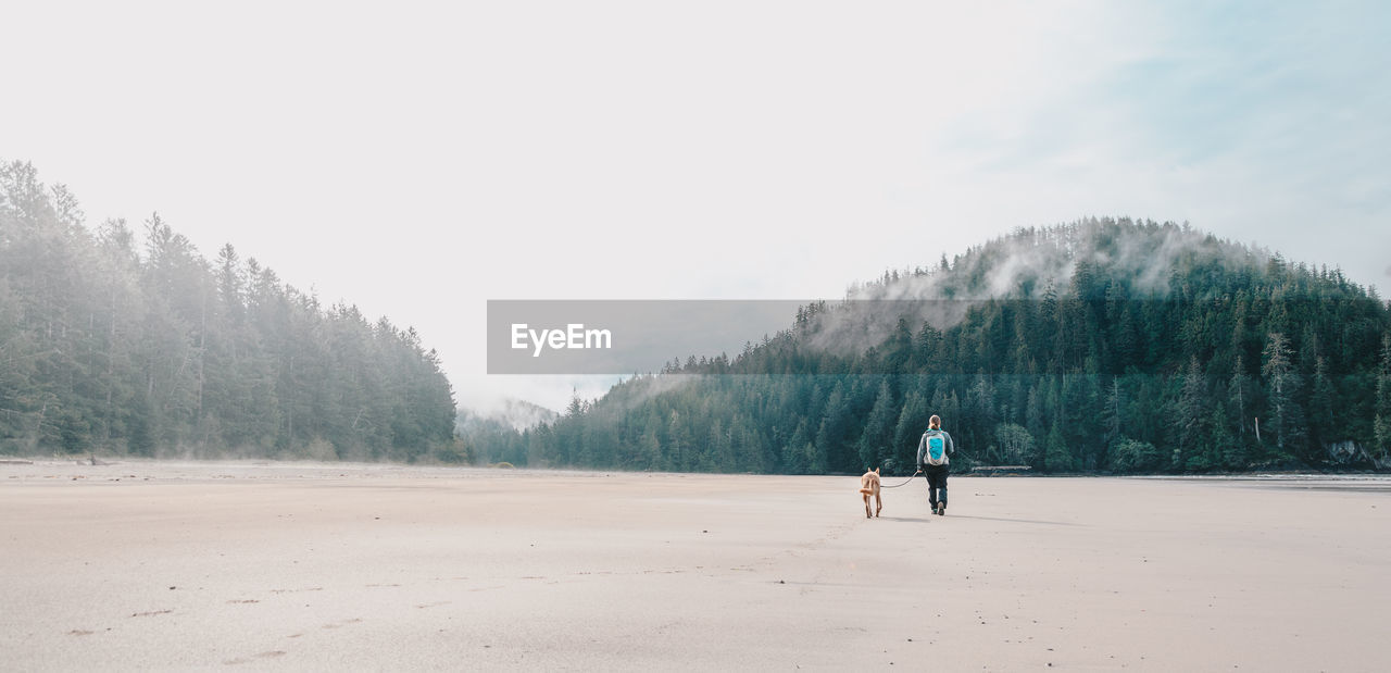 Woman with dog walking at beach against sky
