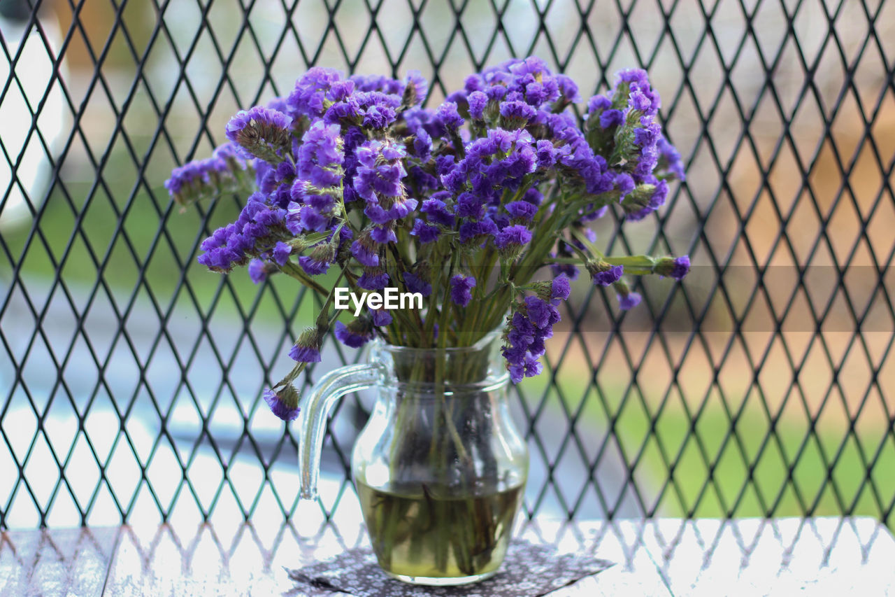 Close-up of purple flowers in vase