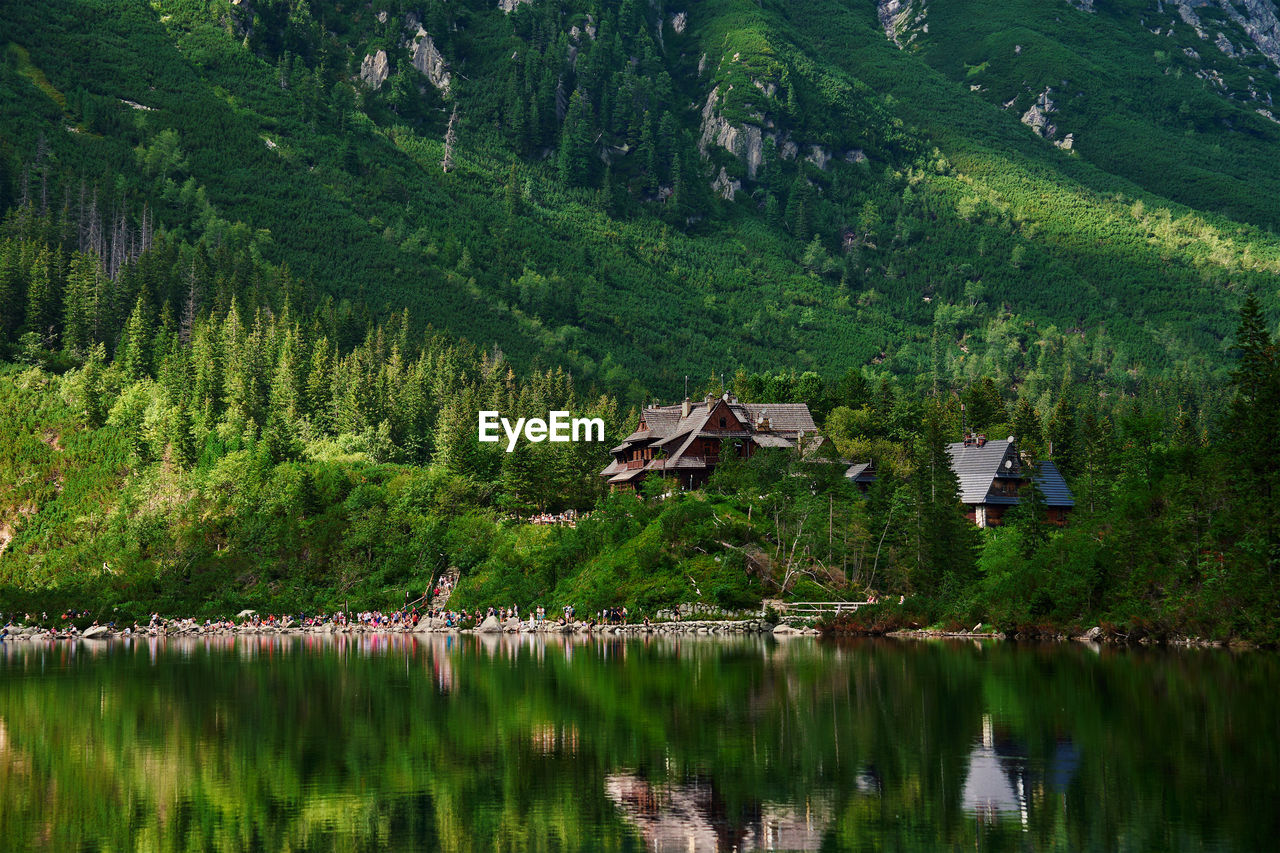 Cabin in mountains with green forest near lake