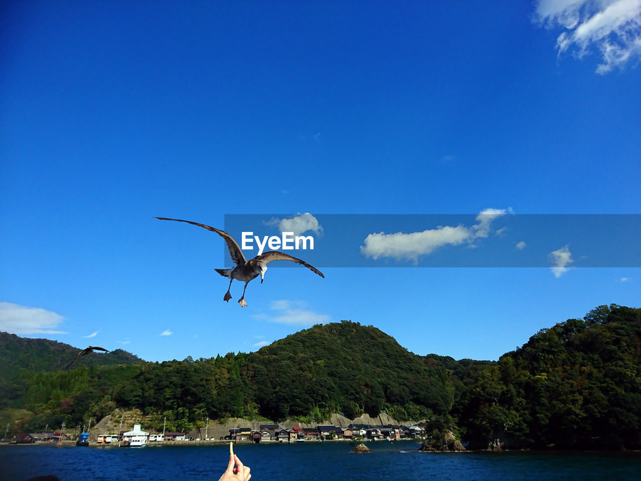 SEAGULLS FLYING OVER SEA AGAINST SKY