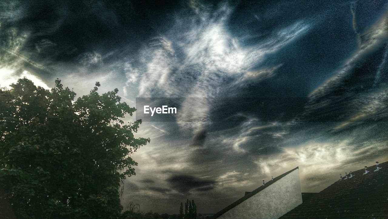 LOW ANGLE VIEW OF TREES AGAINST CLOUDY SKY