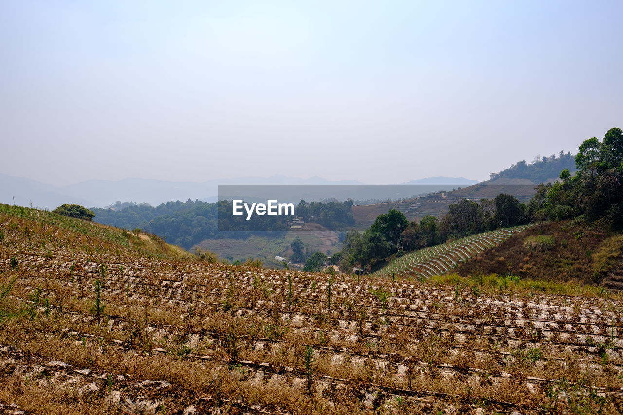 SCENIC VIEW OF FARM AGAINST SKY