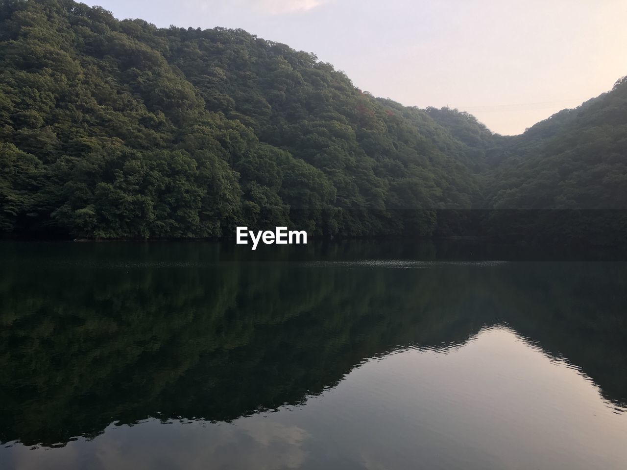 SCENIC VIEW OF LAKE AND TREES AGAINST SKY