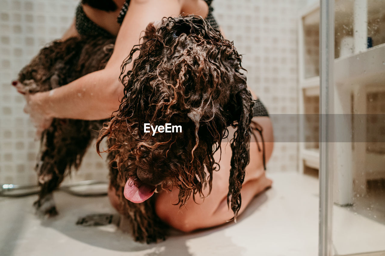 Low section of woman bathing dog in bathroom