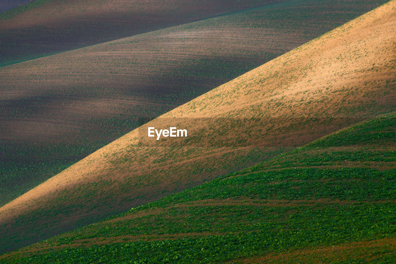 Scenic view of agricultural landscape