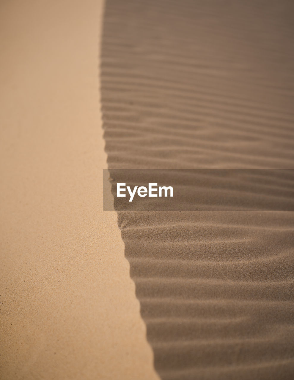 Close-up of sand dunes at beach