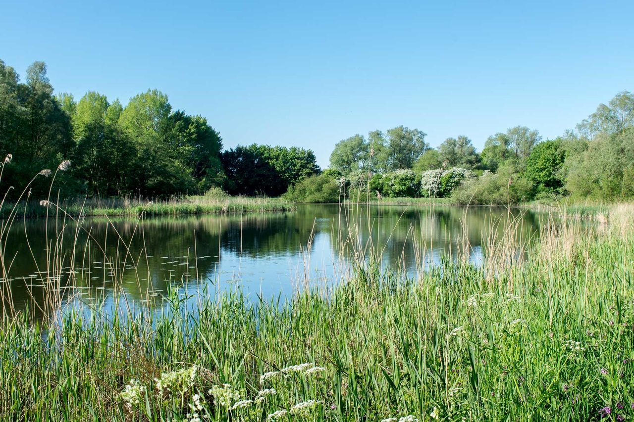 Scenic view of lake against clear sky