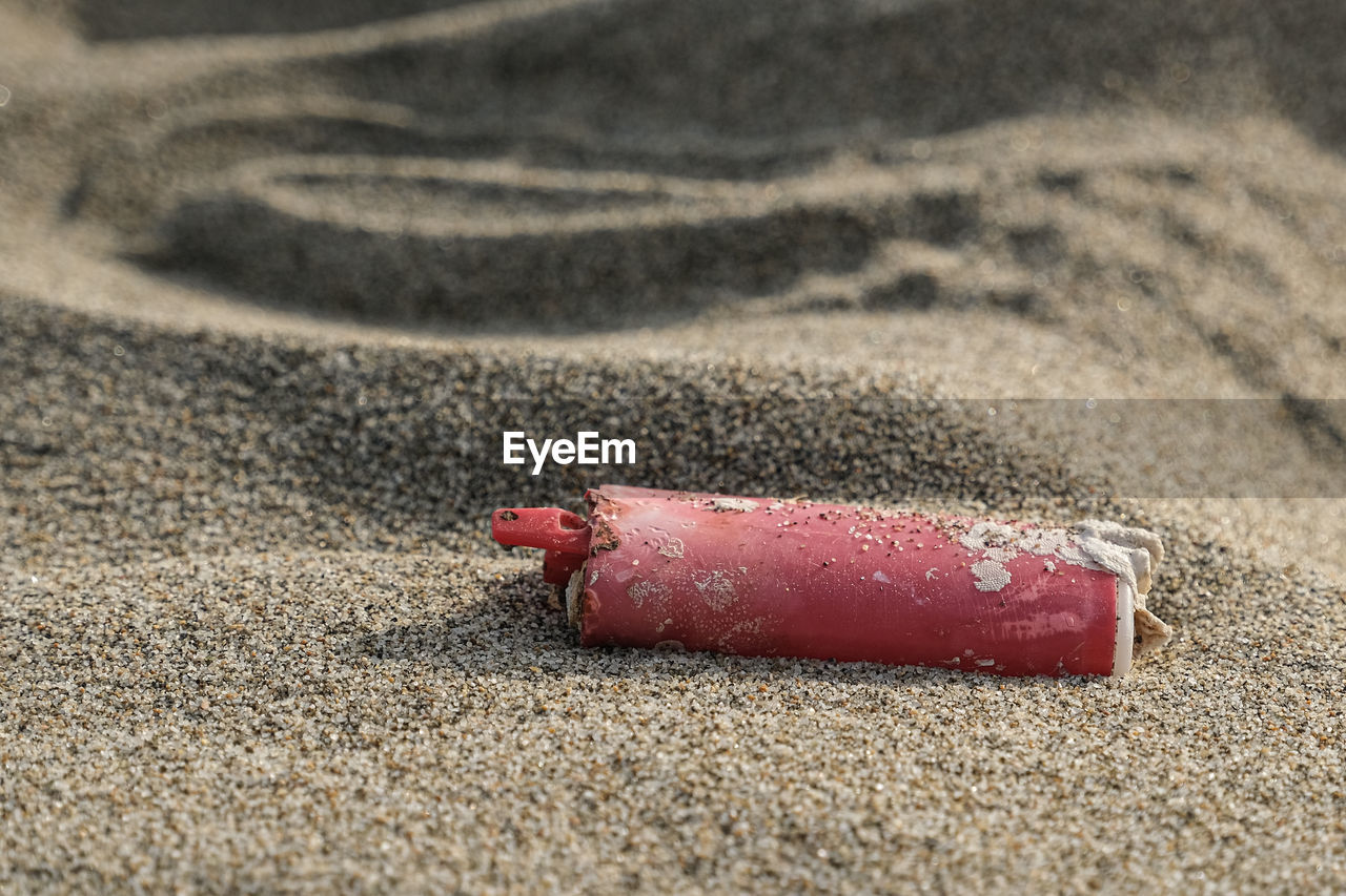 CLOSE-UP OF A DOG ON BEACH