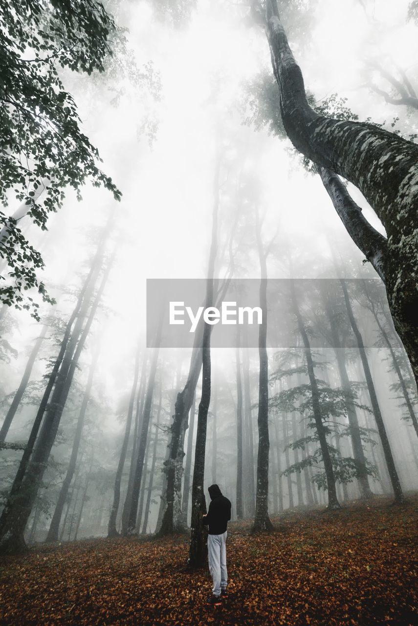 Man standing in forest