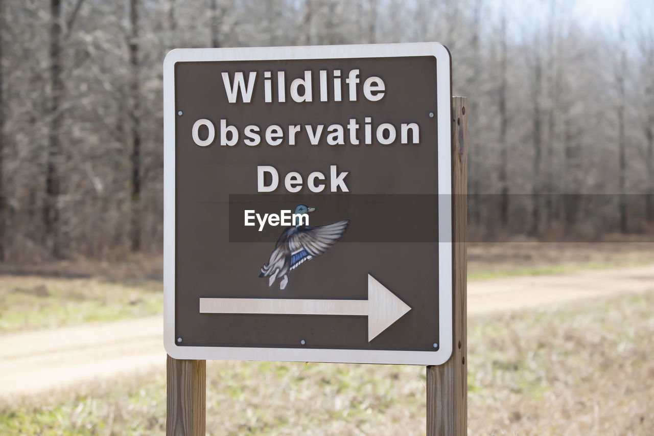 sign, communication, guidance, road, text, signage, information sign, nature, no people, tree, road sign, symbol, focus on foreground, directional sign, arrow symbol, warning sign, western script, animal, plant, representation, day, outdoors, street sign, sky, traffic sign