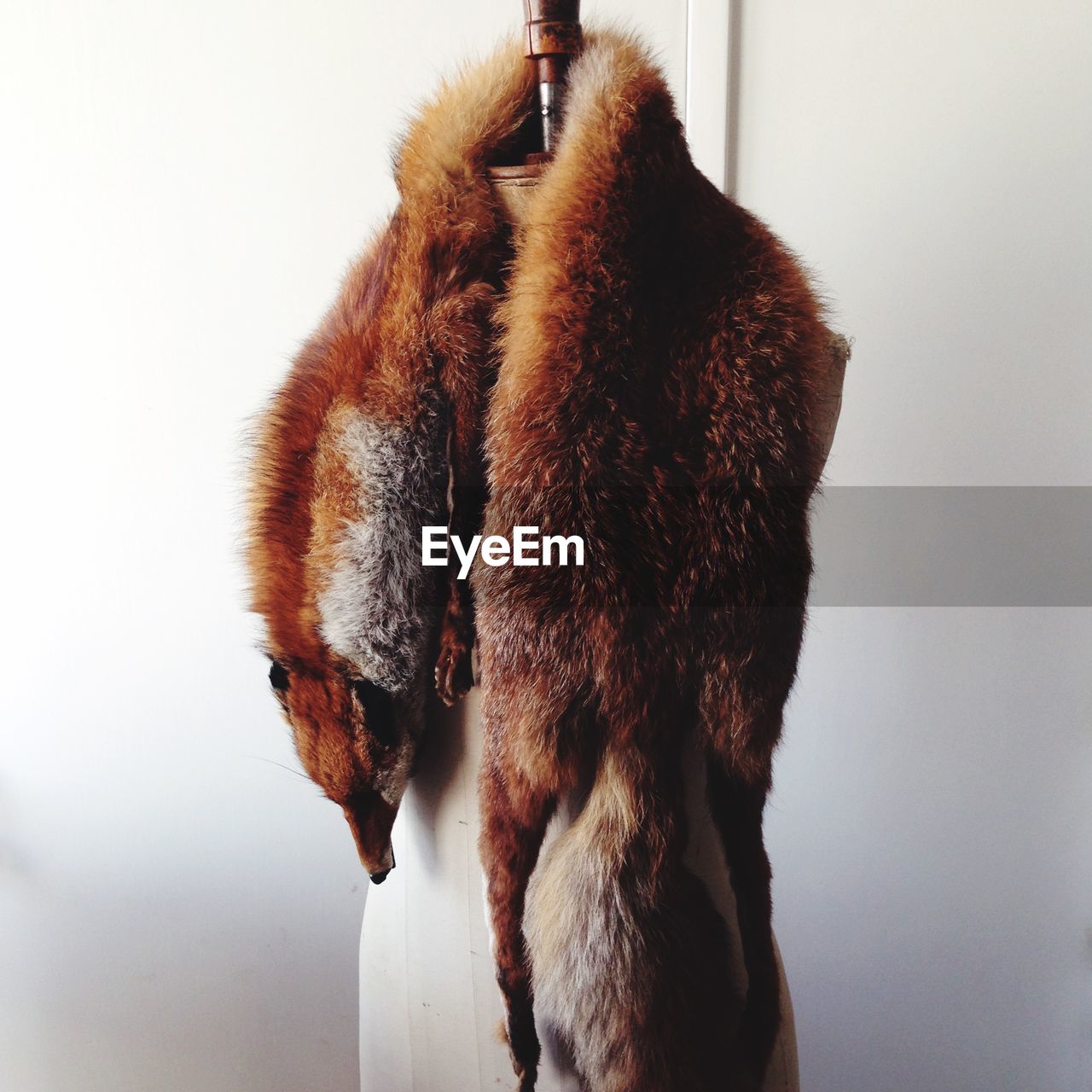 View of fur fox shawl draped over mannequin
