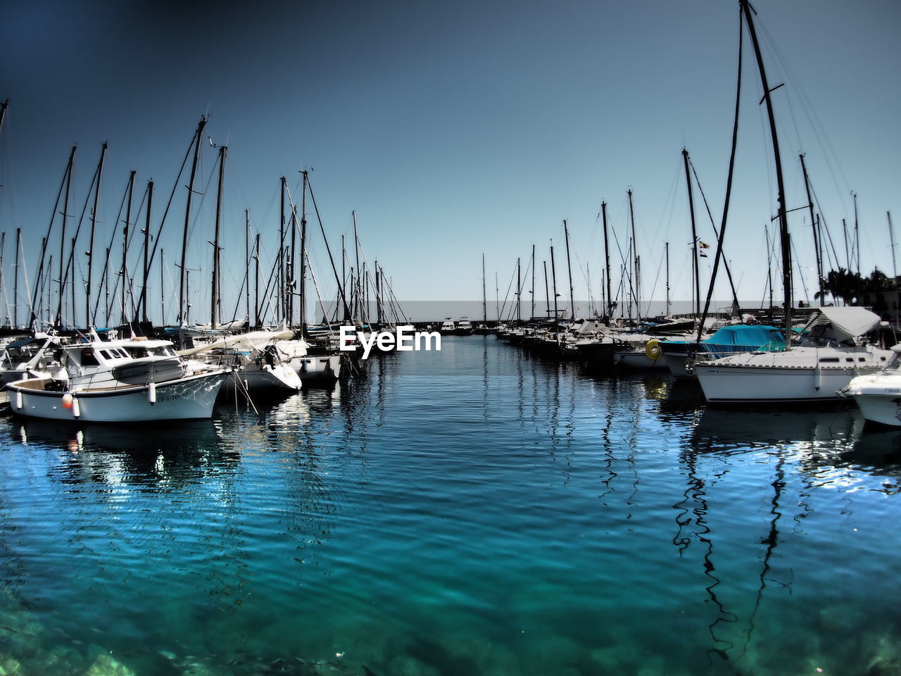 Sailboats moored in sea against clear sky